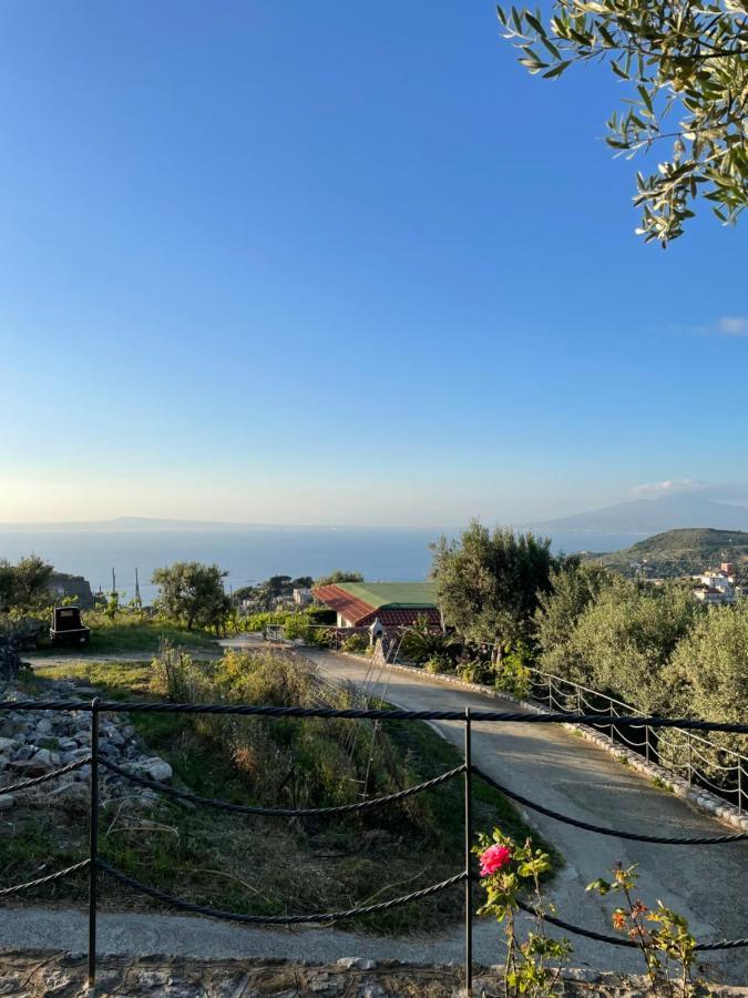 Вілла Loren House, Relaxing Location With Seaview Масса-Лубренсе Екстер'єр фото